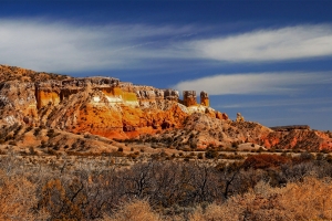 PSI | New Mexico